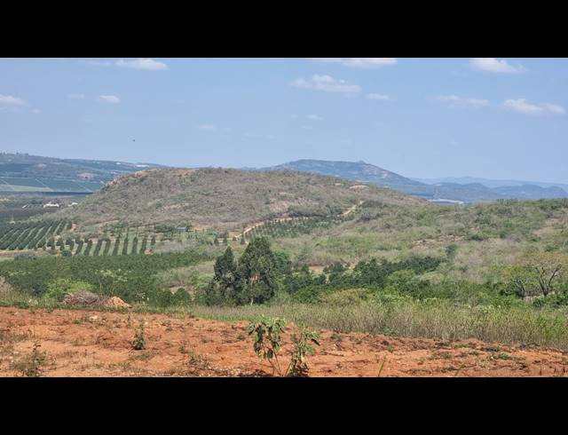 3.20HA FARM TO LET IN WHITE RIVER AH